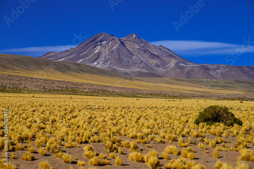 Atacama Desert Chile 
