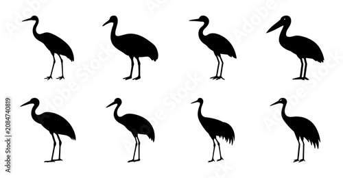 Konstfotografi Black silhouette birds standing in a row - Six stylish black silhouette birds depicted standing upright in a clean, organized row for versatile design use