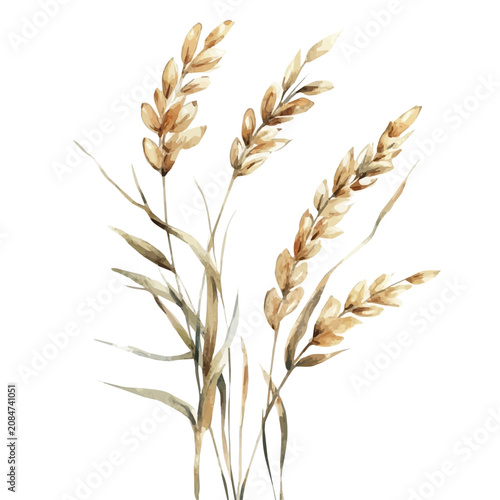 Oatmeal, soft and charming watercolor, isolated on a white background, delicate and elegant style.