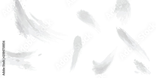 Foto Soft grey feathers floating on isolated white background with feathers floating