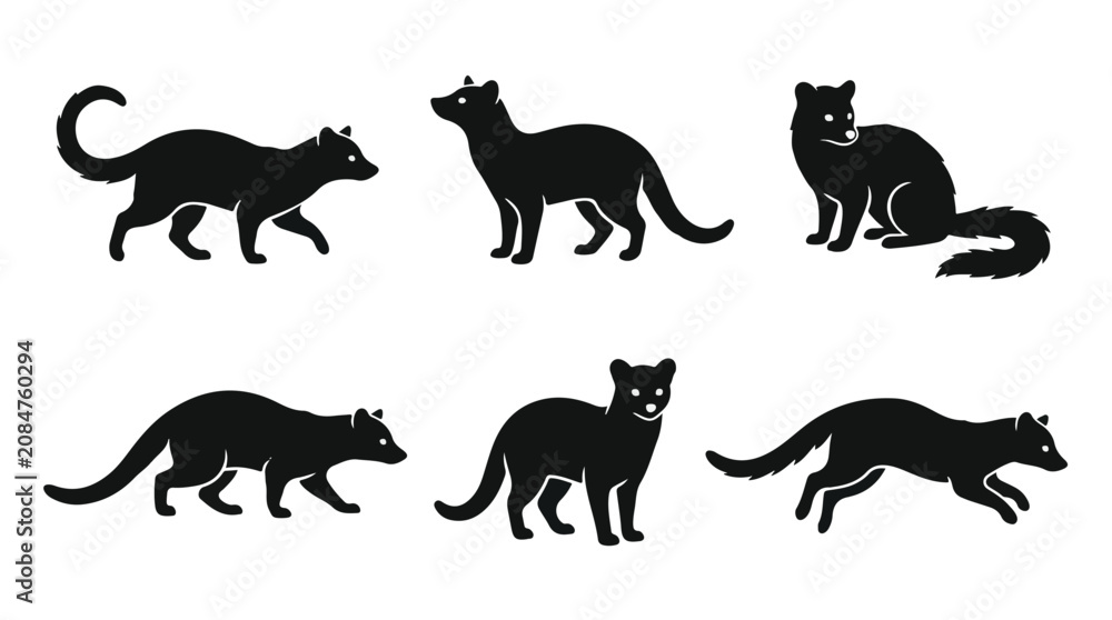 Obraz premium Black silhouette of a civet climbing