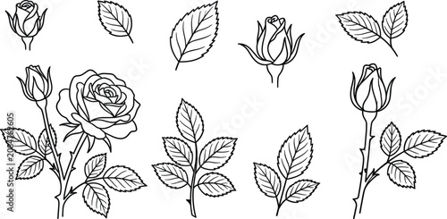 Black and white rose outline vector illustrations with buds and leaves for floral design projects