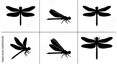 Quadro su tela Six Black Silhouette Dragonflies and Damselflies, Insect Vector Icons for Nature