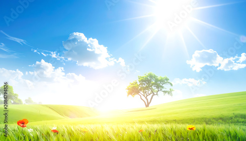 Bright summer sun shining over rolling green hills with wildflowers, blue sky and fluffy clouds, nature landscape