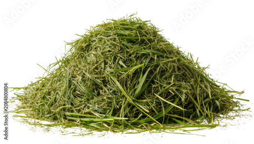 Cuadro en lienzo Isolated pile of freshly cut green grass clippings from a mown lawn, natural org