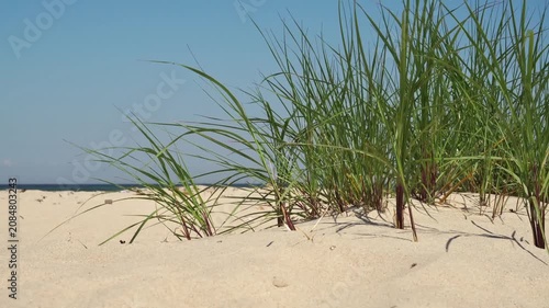 Ostsee - Dünen, Seegras und Strand 