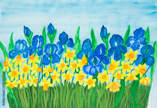 Vászonkép Blue irises and yellow narcissuses painting