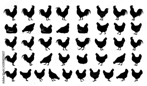 Chicken Silhouette Collection with Rooster and Hen Farm Bird Black Vector Illustration Bundle Isolated