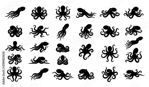 Octopus Outline Illustration Collection with Different Marine Animal Poses Hand Drawn Vector Icon Set