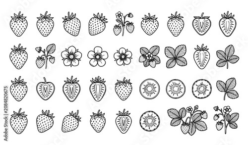 Strawberry Fruit and Flower Outline Collection Hand Drawn Botanical Vector Icon Set Isolated Design