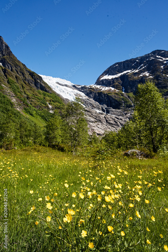Fototapeta premium Summer Buttercups in a Majestic Glacier Valley