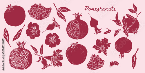 hand drawn pomegranate illustrations of whole fruits, cut halves, seeds, leaves, and blossoms. Minimalist line art style, perfect for food, botanical, and healthy diet design projects.