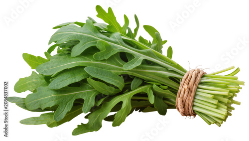 Tableau sur toile Isolated fresh arugula bunch tied with twine, healthy green leafy vegetable for
