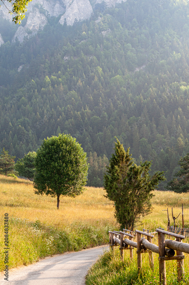 Fototapeta premium Mountain landscape at the foot of Three Crowns in Pieniny National Park Poland Slovakia border. Vertical mountain landscape photography