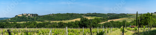 Fotografía Panoramic view of rolling hills of Tuscan vineyards in the Chianti wine region