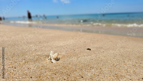 Macro view of a starfish shaped ring on a sand beach with blurry tourists and blue ocean waves, representing summer travel destination and resort lifestyle. Conceptual seasonal accessories backdrop fo