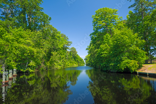 Very Green Boating Channel Along the Great Dismal Swamp