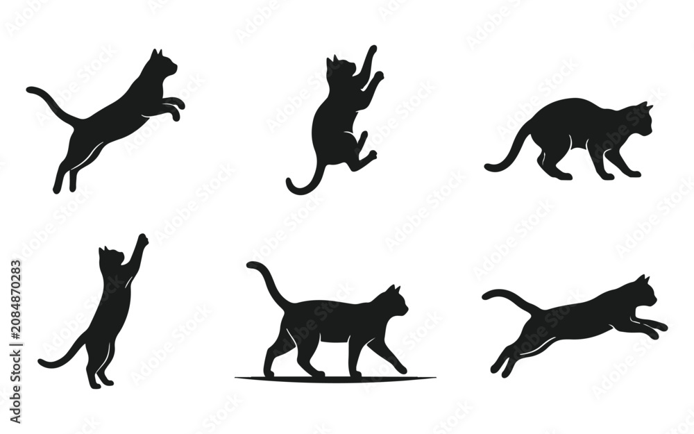 Fototapeta premium Six black cat silhouettes in various poses