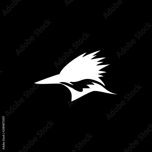 Fotografía Minimalist white silhouette of a roadrunner bird head on a black background