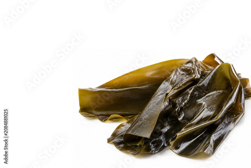 Kelp isolated on white