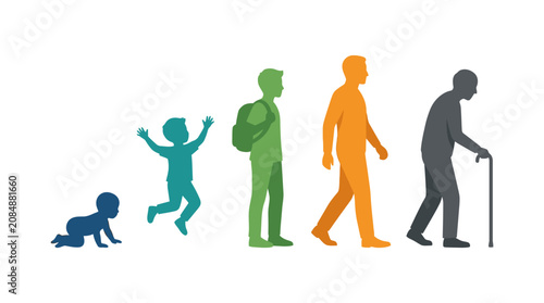 Foto Human Aging Process Silhouettes Showing Stages From Baby To Elderly