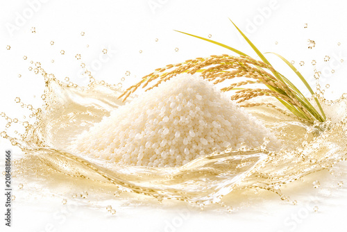 Sake Fermentation Liquid