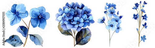 Set of watercolor blue flowers isolated on white background. Botanical illustration of hydrangea and floral branches. Hand drawn design elements for wedding invitation or greeting card