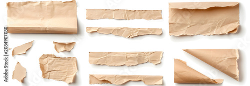 Assorted torn and crumpled old paper fragments. Vintage aged parchment scraps on white background. Ripped paper strips and rolled pieces for collage