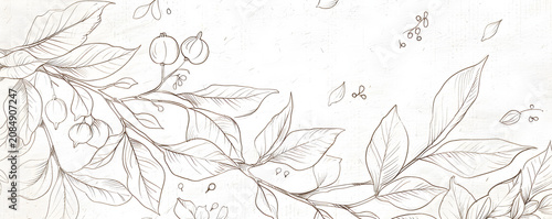 Vintage botanical illustration of a branch with leaves and fruits. Hand drawn line art sketch on textured background. Classic floral design for rustic or organic themes