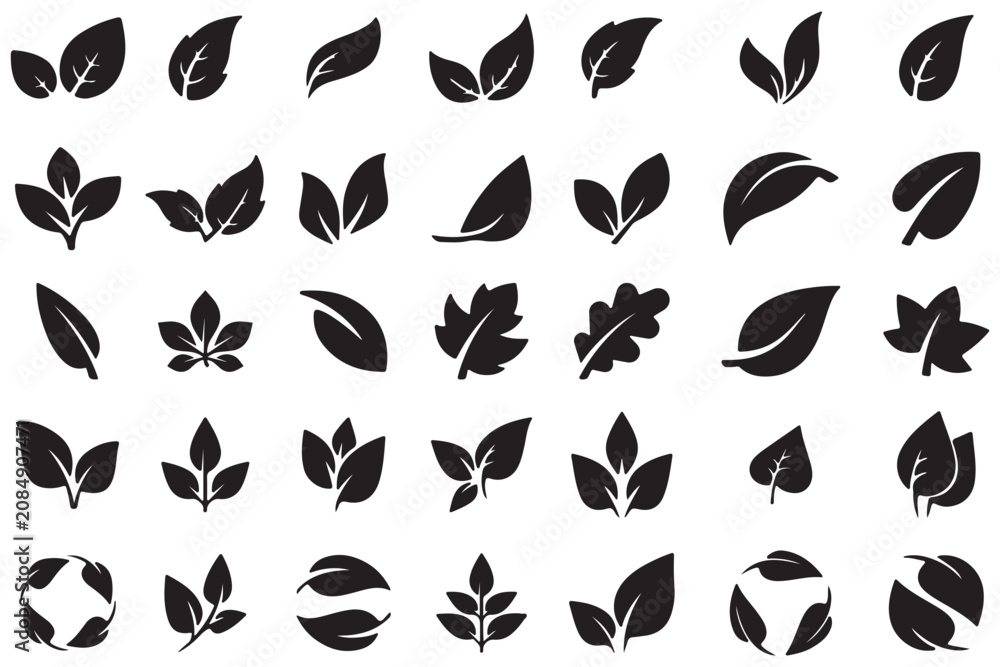 Fototapeta premium Green Leaf icon Set, Minimal Nature Plant leaves Logo Collection, Modern Symbol Set of Single one, two and three Fresh Organic Leaves Vector isolated on Transparent Png White background