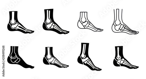 Bild auf Leinwand Anatomical illustrations of human feet showcase skeletal structures in various artistic styles