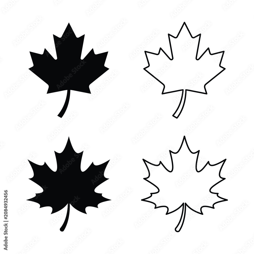 Fototapeta premium Maple leaf silhouettes black and outline design elements.