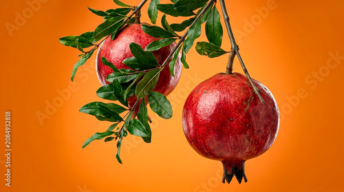 Two ripe red pomegranates hanging on branch with green leaves against orange background