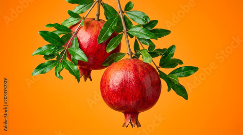 Two ripe red pomegranates hanging on branch with green leaves against orange background