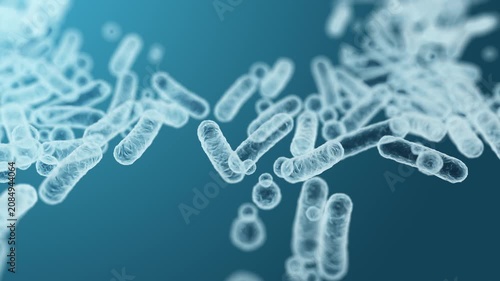 Enterobacteriaceae, gram-negative rod-shaped bacteria, part of intestinal microbiome and causative agents of different infections, 3D rendering. Escherichia coli, Klebsiella, Enterobacter and other	