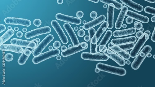 Enterobacteriaceae, gram-negative rod-shaped bacteria, part of intestinal microbiome and causative agents of different infections, 3D rendering. Escherichia coli, Klebsiella, Enterobacter and other	
