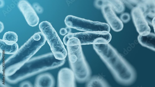 Enterobacteriaceae, gram-negative rod-shaped bacteria, part of intestinal microbiome and causative agents of different infections, 3D rendering. Escherichia coli, Klebsiella, Enterobacter and other	
