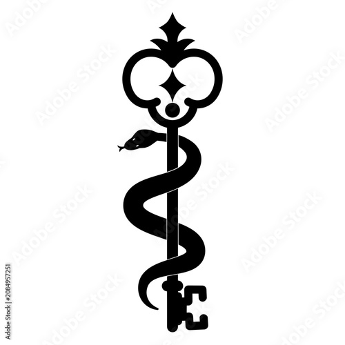 Snake Wrapped Antique Key Tattoo Design