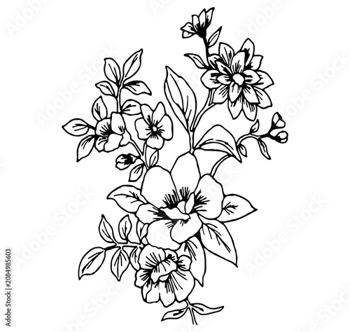 minmalist line art