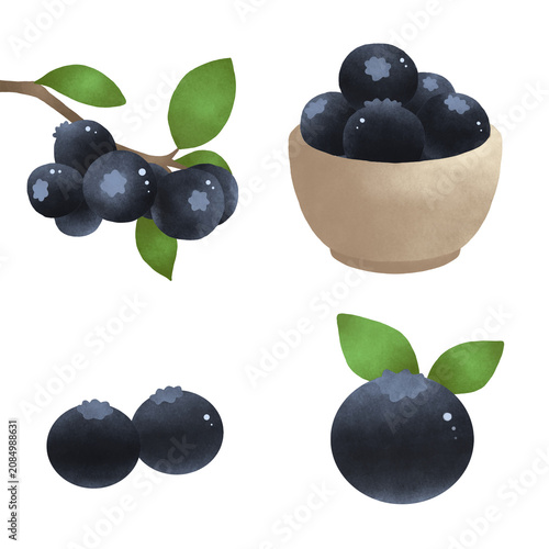 Hand-drawn blueberry