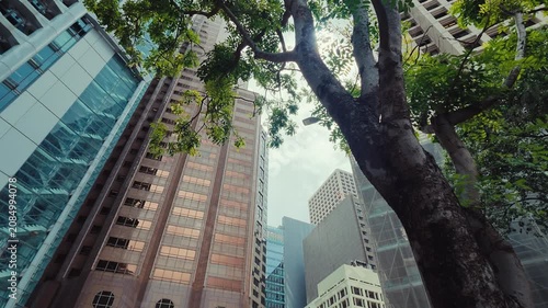 A dynamic urban landscape from a low-angle perspective featuring towering skyscrapers and a dominant tree in Hong Kong's skyline