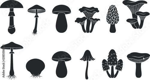 Foto Wild mushroom silhouette collection featuring edible forest fungi morel chantere