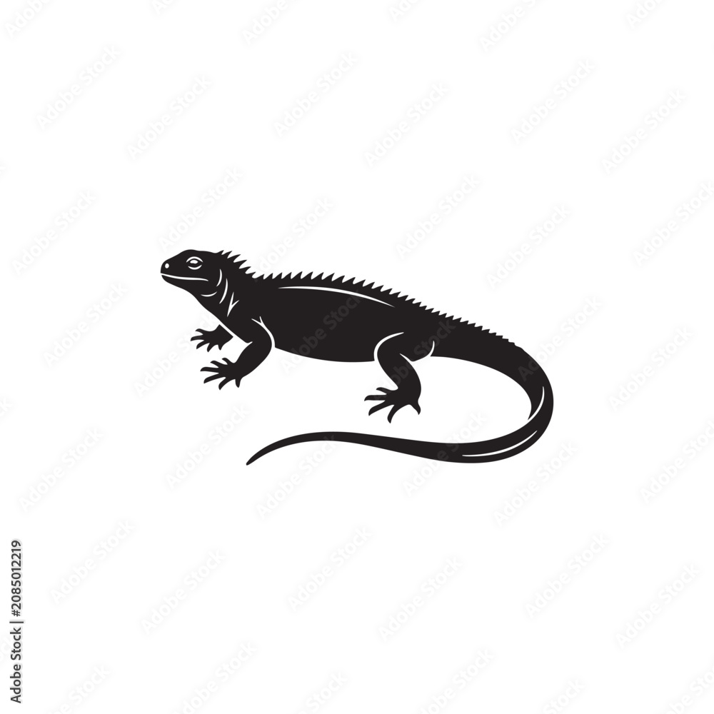 Fototapeta premium lizard on white background