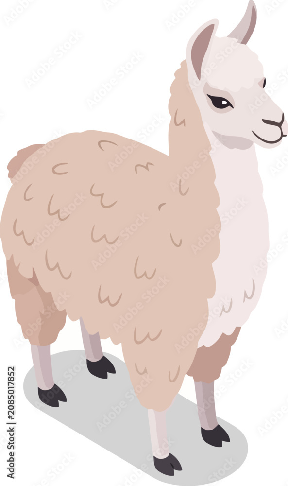 Naklejka premium Fluffy beige llama standing on a grey shadow isolated on transparent background