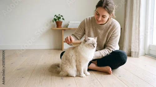 Fototapeta na wymiar Young woman grooming her white longhair cat with a brush on the floor, pet care routine for healthy fur and reducing shedding at home