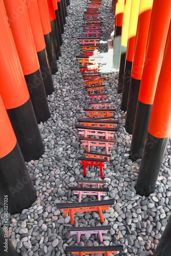 Cuadro en lienzo 穴守稲荷神社　：　ミニ鳥居が並ぶ境内（日本東京都大田区羽田）
Anamori Inari Shrine　: Shrine precincts lined wit
