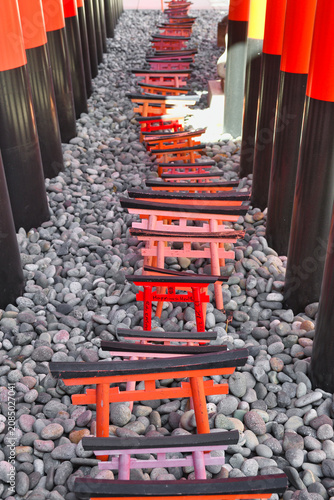 Photos 穴守稲荷神社　：　ミニ鳥居が並ぶ境内（日本東京都大田区羽田）
Anamori Inari Shrine　: Shrine precincts lined wit