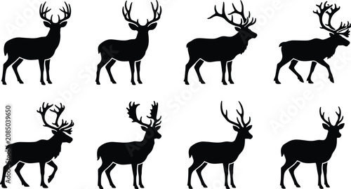 Photography Set of deer and reindeer silhouettes with beautiful antlers isolated on white ba