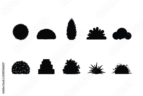 Foto Tree Silhouettes On White Background Landscaping Design Elements