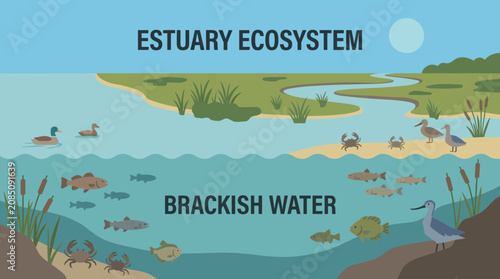 Bild auf Leinwand Estuary Ecosystem Brackish Water Biodiversity